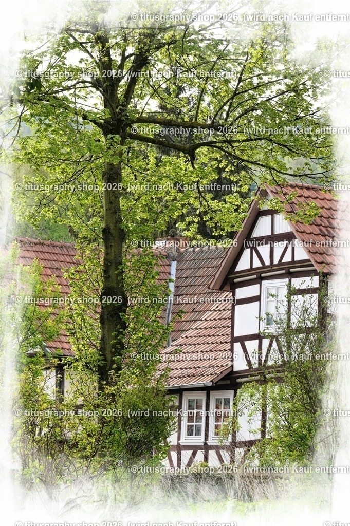 2022-04-29_FT-125_Oberkaufungen_DSC_0600_bearbeitet_pe-03 (Kopie) | titusgraphy-shop: Geschenkideen mit Qualitätsfotos. titusgraphy-shop: gift ideas with quality photos. titusgraphy-shop: idées cadeaux avec photos de qualité.  - Realisiert mit Pictrs.com