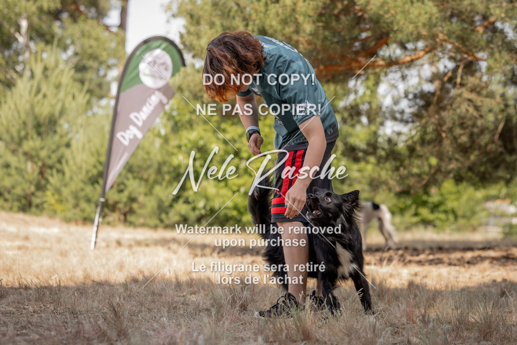 nelerasche_soDD2_317 | nelerasche