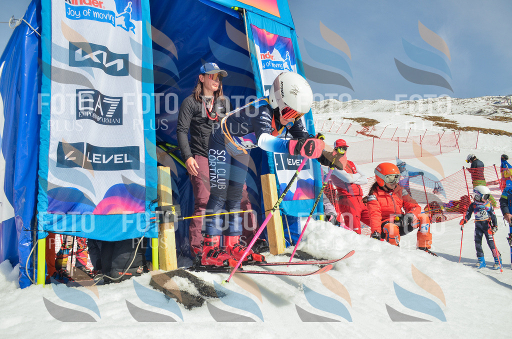 _ELE4971 | holidayphoto