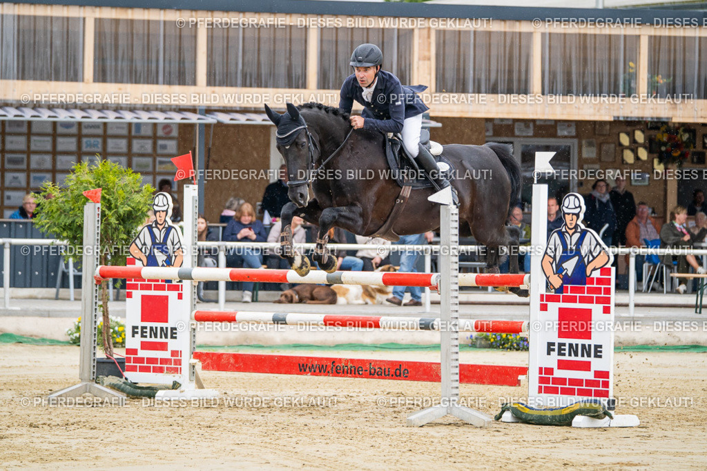 DSC01298 | Pferdegrafie