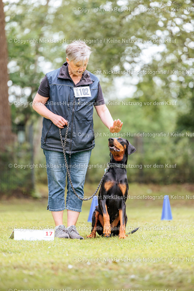 RO-Blumenthal-2026-Nickbest-Hundefotografie-5293 | Dein Hund! Dein Moment! Deine Erinnerungen! Hundefotografie in Bremen Blumenthal. Ich fange die besonderen Momente deines Vierbeiners ein – ob Indoor mit Blitzanlage oder in der freien Natur. Sicher dir dein Moment und dein Termin für eure Erinnerungen.