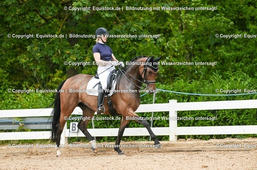 20230716_01_Dressurprüfung Kl.M_0427 | equistock