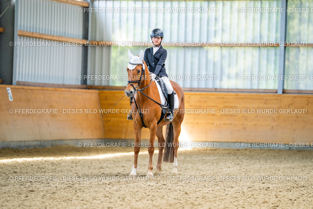 DSC03051 | Pferdegrafie