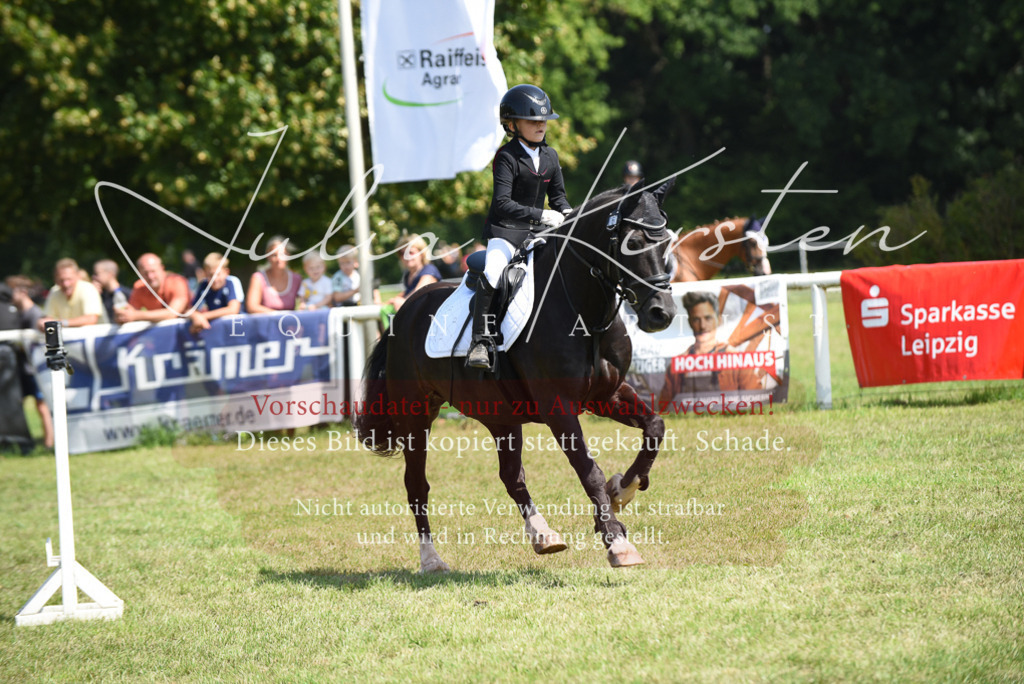 DSC_9970 | Pferde- und Turnierfotografie in Westsachsen. Pferdeportraits, Auftragszeichnungen und intuitive Kunst.