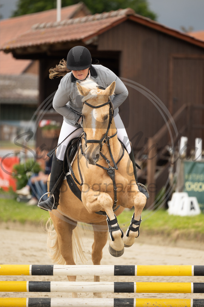 994A9037 | sabrinanicolaifotografie - Realisiert mit Pictrs.com