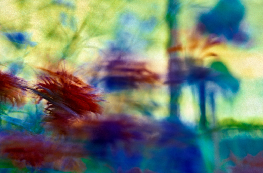 Wind im Blumengarten | Austria - July 03, 2010: Wind im Blumengarten. - Realisiert mit Pictrs.com