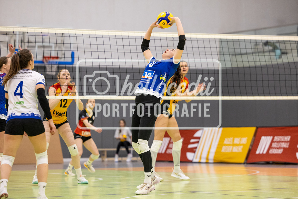Volleyball I Frauen I Saison 2025-2026 I 2. Bundesliga Nord I 15. Spieltag I VCO Münster - VC Osnabrück I 25.01.2026-085 | Maya Sendner (8, VC Osnabrück) - Realisiert mit Pictrs.com
