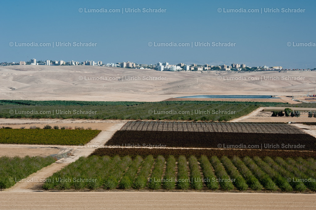10972-10271 - Ackerbau bei Arad _ Israel | max. Bildgröße A3 | 300dpi - Realisiert mit Pictrs.com