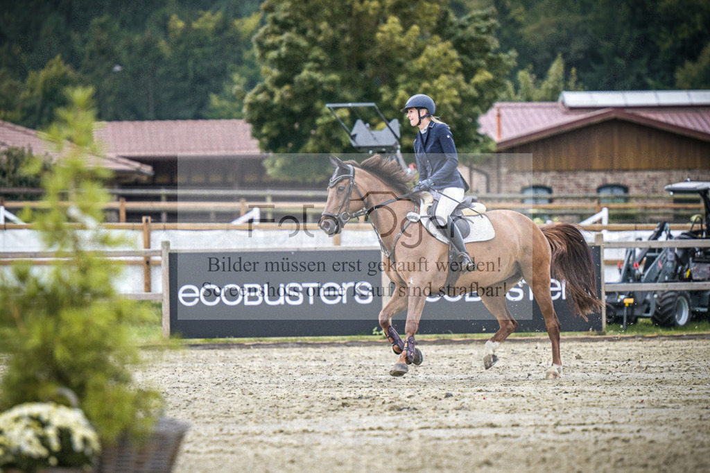 DOS_2133 | Entdecke hochwertige Reitturnierfotos von Foto Oger. Professionell, emotional und authentisch – jetzt Lieblingsmomente im Shop bestellen.Deutschlandweite Turnierfotografie. - Realisiert mit Pictrs.com