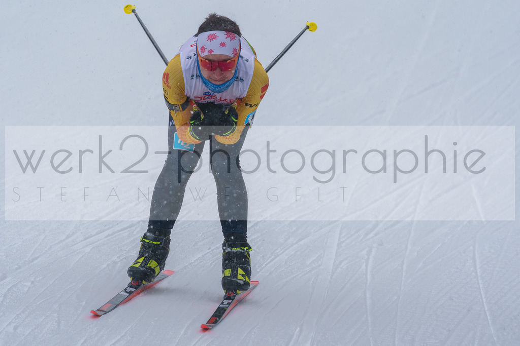 DSC Arber | Bayerischer Wald am 9. bis 12. Februar 2023
