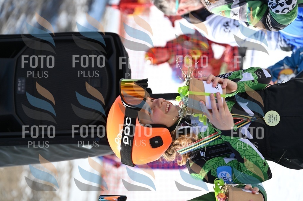 C7250 | holidayphoto