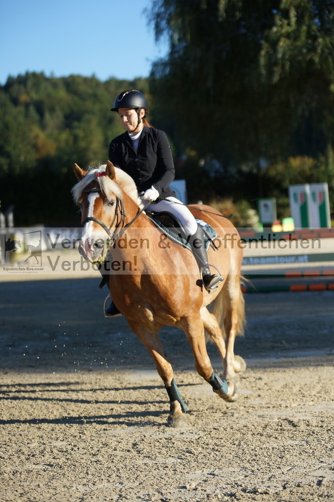 DSC08063 | equestrian-live-com