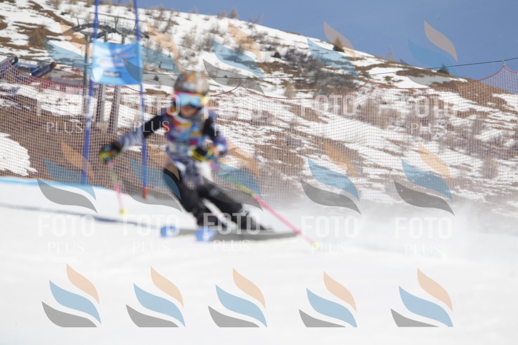 _U3G8728 | holidayphoto