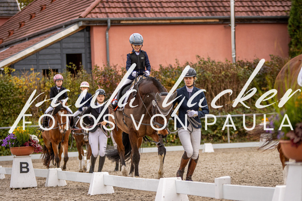 IMG_3947 | Erleben Sie dynamische Sport- und emotionale Tierfotografie in Süddeutschland mit Fotos von Paula. Spezialisiert auf Pferde- und Hundefotografie sowie Sportevents. Kontaktieren Sie mich für einzigartige und ausdrucksstarke Bilder Ihrer besonderen Momente. - Realisiert mit Pictrs.com