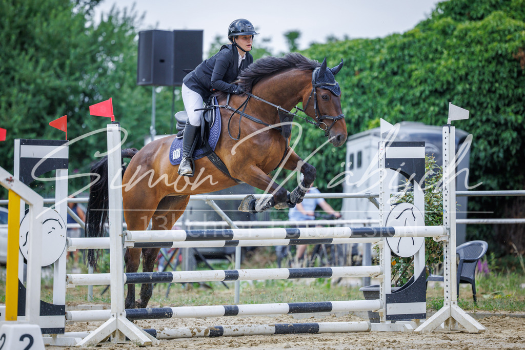 20260705-_3LI4357 | Tierfotografie Pferde, Hunde, Katzen, Haustiere.
Turnierfotografie Reitturniere, Reiten, Springreiten, Dressur in Hanau, dem Main-Kinzig-Kreis und dem Rhein-Main- Gebiet um Frankfurt