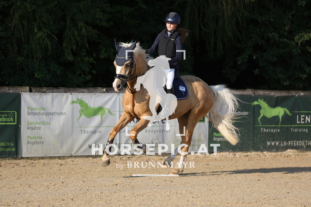 0P6A3981 | Willkommen bei Brunnmayr - Design & Fotografie – Ihrem Spezialisten für Reitturniere und Pferdeveranstaltungen in Oberösterreich, Salzburg und Bayern! Seit über 17 Jahren sind wir leidenschaftlich dabei.