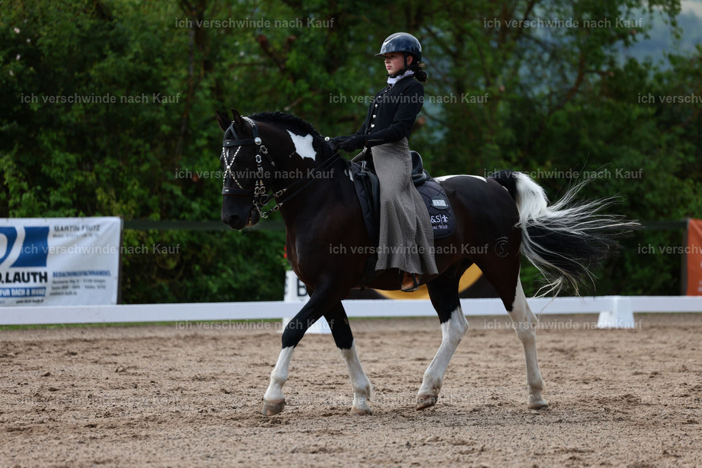 KlasseL_Stoibphotography_CAM21159.JPG | working equitationturnier fotograf videograf stoibphotography marixx film working equitation deutschland reitsport turnierfotografie eventfotografie equestrian events