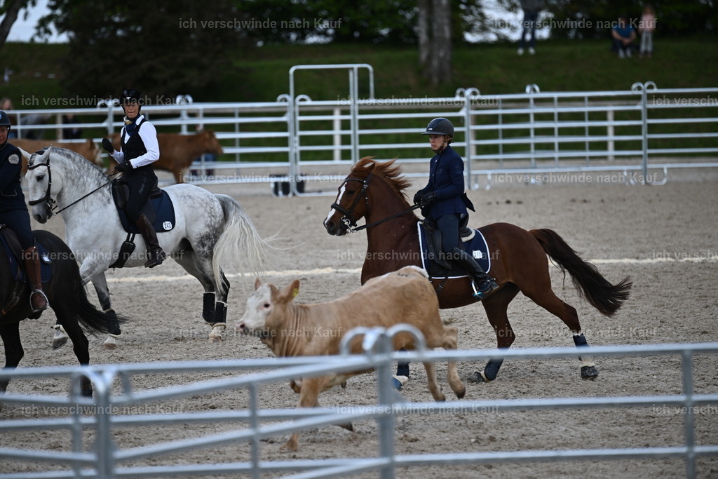PI26_COW_Sara Landvogt226_7309.JPG | working equitationturnier fotograf videograf stoibphotography marixx film working equitation deutschland reitsport turnierfotografie eventfotografie equestrian events
