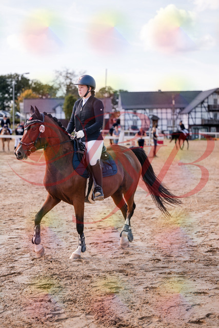 2026_10_03_Siefer-Hof_145535_Z81_36815758 | Professionelle Reitsport-, Turnier- und Eventfotografie von Robert Broda. Galerien mit ausgewählten und bearbeiteten Bildern direkt online ansehen und bestellen.
