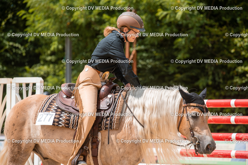 EWP_6533 | dv-media-shop - Realisiert mit Pictrs.com