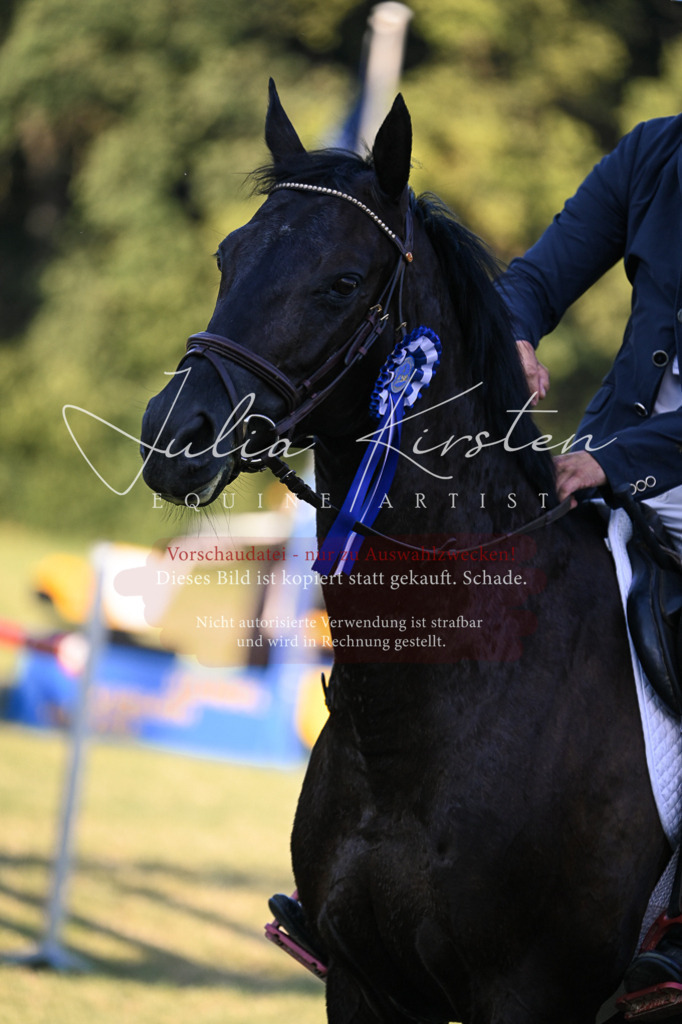DSC_1875 | Pferde- und Turnierfotografie in Westsachsen. Pferdeportraits, Auftragszeichnungen und intuitive Kunst.