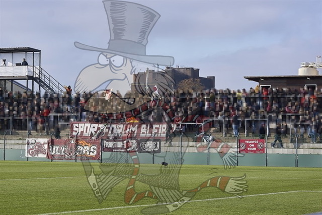 BFC Dynamo vs. FC Energie Cottbus  016 | mythos-online-redaktion