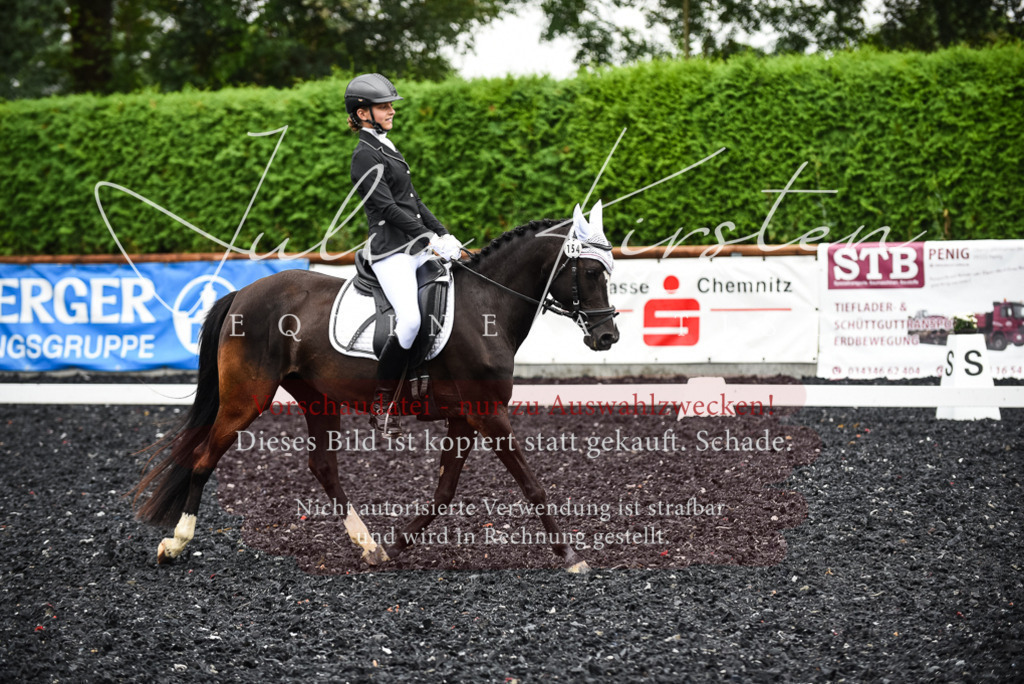 DSC_2726 | Pferde- und Turnierfotografie in Westsachsen. Pferdeportraits, Auftragszeichnungen und intuitive Kunst.
