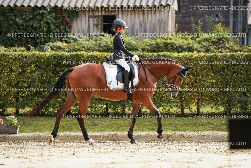 DSC03933 | Pferdegrafie