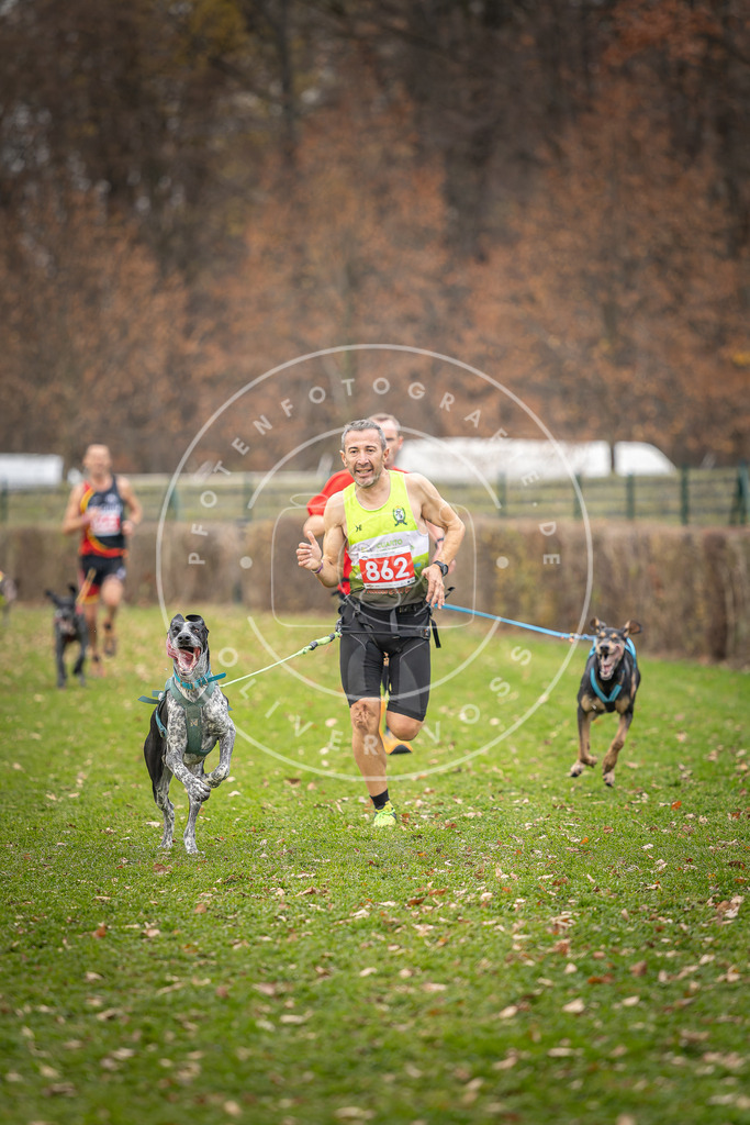 CaniXpix_DV3A6667 | Hundefotografie, Tierfotograf, Pfotenfotografie, Fotoshooting Hund, Hunde Portrait, Hundesport, Hundeportraits, Heideshooting, Hunde, Sportfotograf, Hundefotograf, Turnierhundsport, THS,  - Realisiert mit Pictrs.com