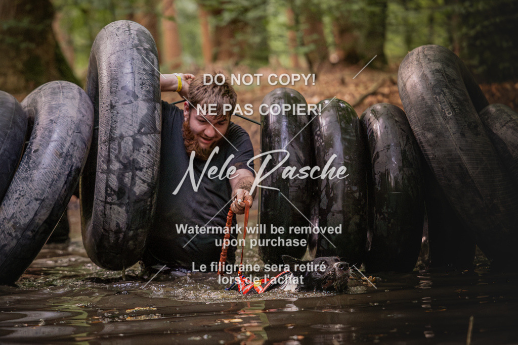 nelerasche_SaWingst0845-1000_321 | nelerasche