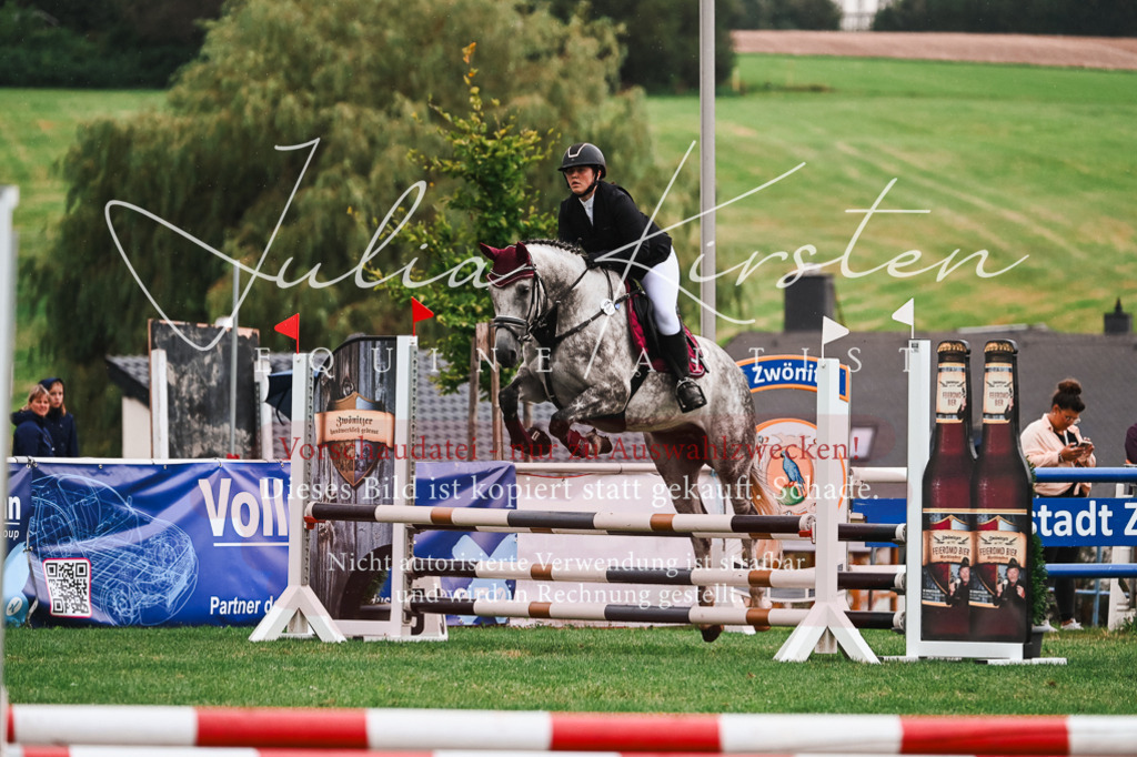 DSC_6354 | Pferde- und Turnierfotografie in Westsachsen. Pferdeportraits, Auftragszeichnungen und intuitive Kunst.