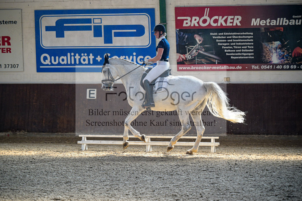 Reitturnier Voxtrup | Entdecke hochwertige Reitturnierfotos von Foto Oger. Professionell, emotional und authentisch – jetzt Lieblingsmomente im Shop bestellen.Deutschlandweite Turnierfotografie. - Realisiert mit Pictrs.com
