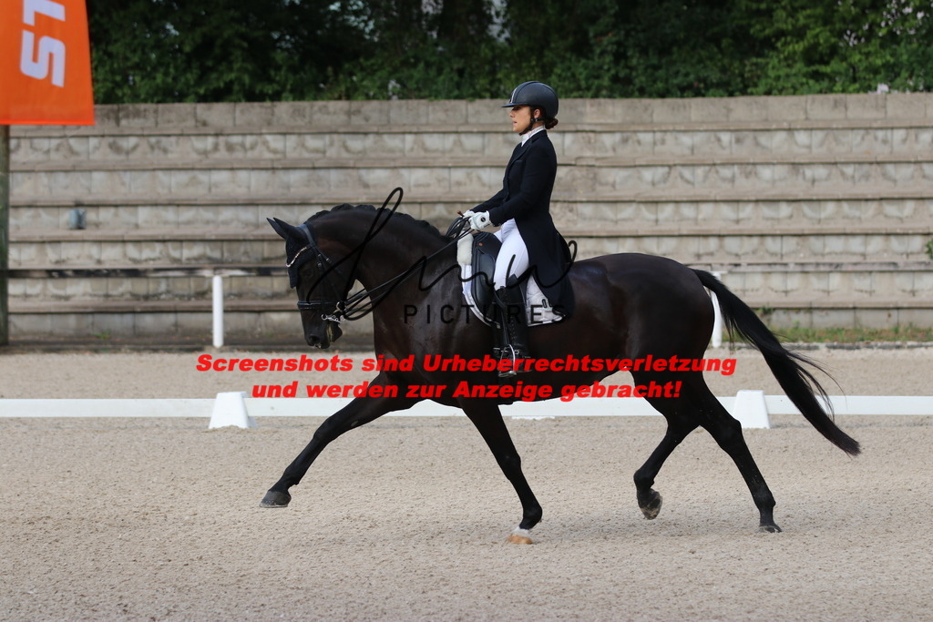 IMG_5894 | lmwpictures - Realisiert mit Pictrs.com