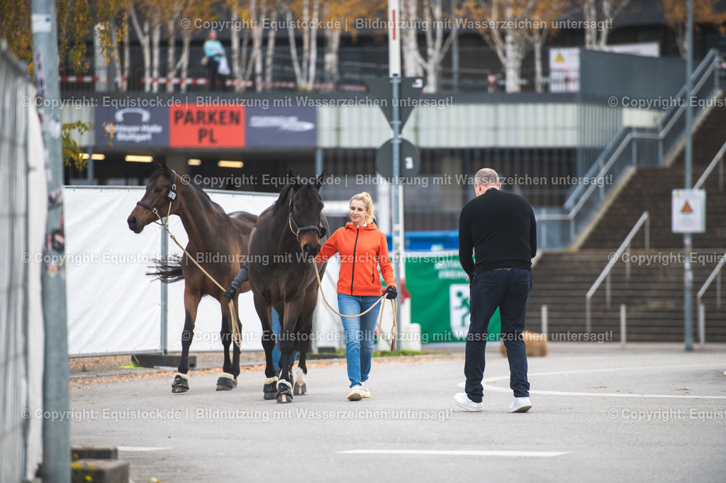 20251114_Jessica-von-Bredow-Werndl_TOMSPIC_0051 | Foto: Thomas Hartig