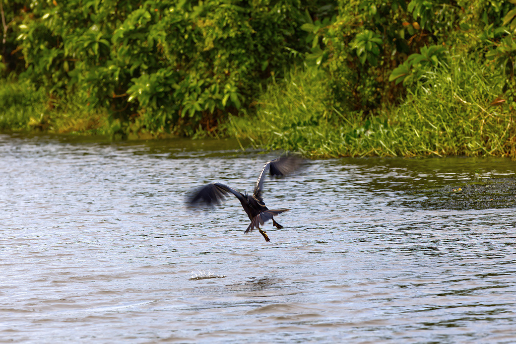 1H5A0798 | ansichtssache