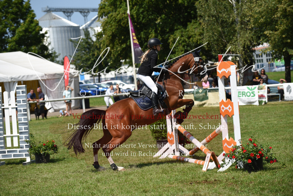 DSC_9997 | Pferde- und Turnierfotografie in Westsachsen. Pferdeportraits, Auftragszeichnungen und intuitive Kunst.