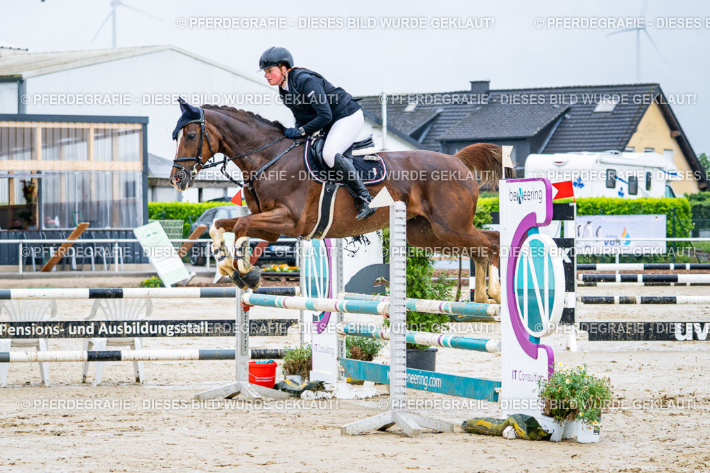 DSC03146 | Pferdegrafie