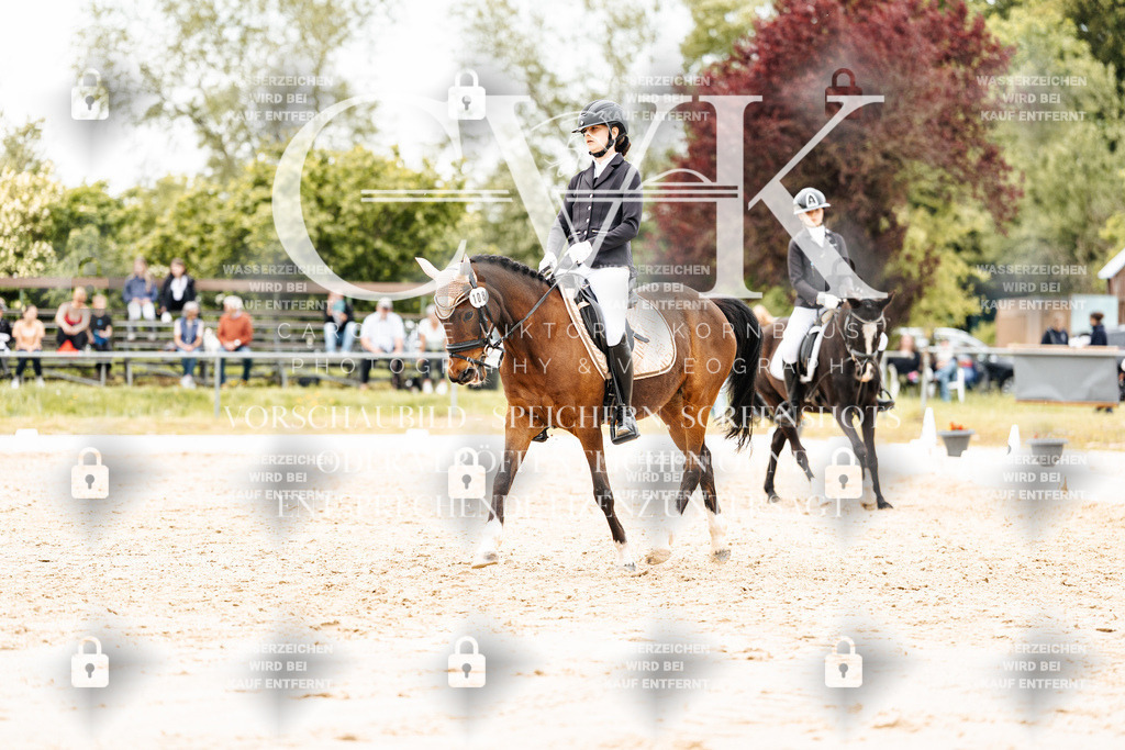 CK903624 | Turnierfotografie Pferdefotografie Trier Rheinland-Pfalz Pferdesport Reitsport Tierfotografie Sportfotografie Pferdevideo Pferdevideografie Equestrianvideography equestrianphotography  - Realisiert mit Pictrs.com