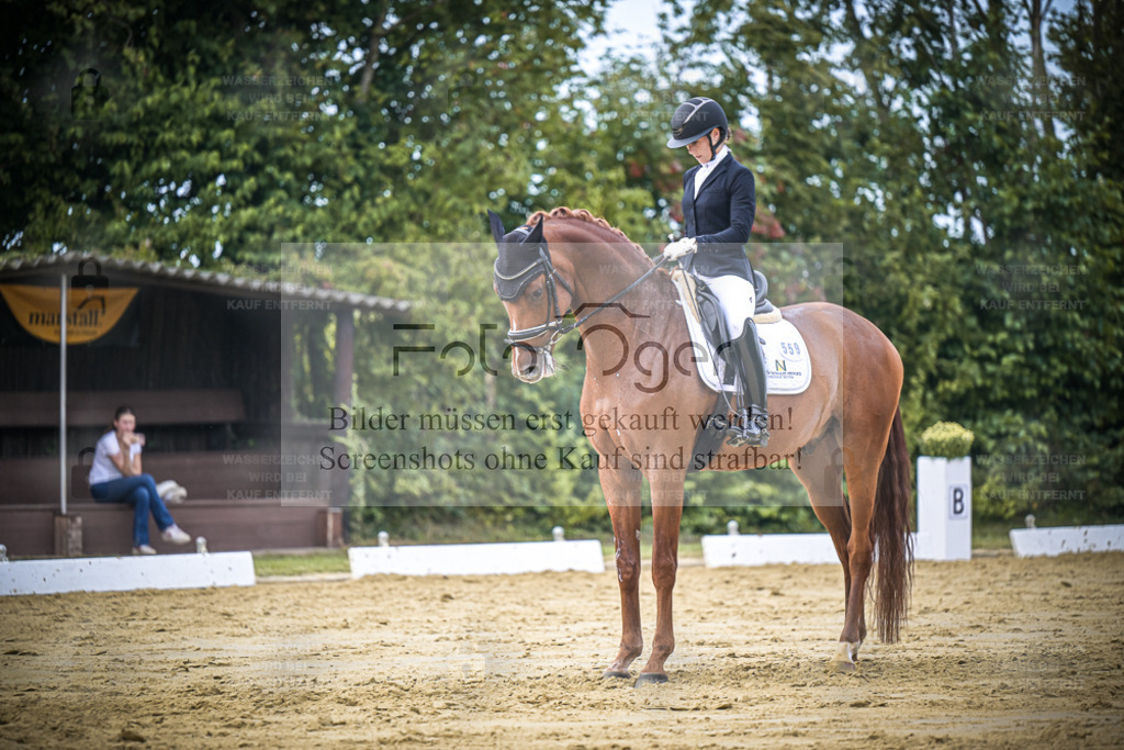 DOS_9473 | Entdecke hochwertige Reitturnierfotos von Foto Oger. Professionell, emotional und authentisch – jetzt Lieblingsmomente im Shop bestellen. - Realisiert mit Pictrs.com