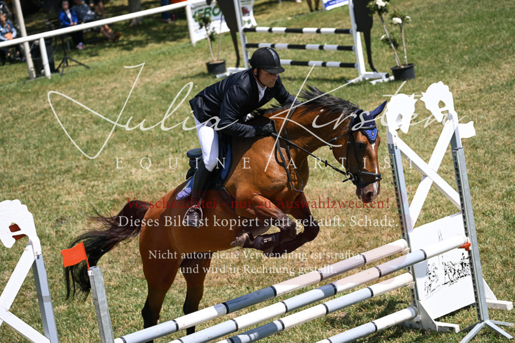 DSC_9483 | Pferde- und Turnierfotografie in Westsachsen. Pferdeportraits, Auftragszeichnungen und intuitive Kunst.
