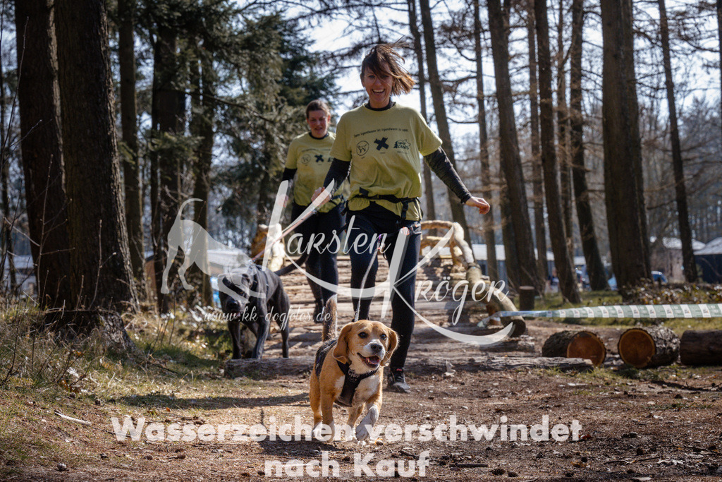 1329_ZZ95224 | kk-dogfotos