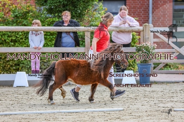 2-14 | mandyhollmannphotographie