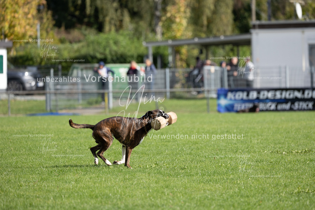 _16A6890 | Einzigartige Fotos von Hunden & Menschen –Actionfotos, Portraits, Vereinsaufnahmen & Paarshootings – authentisch, lebendig & mit Herz.