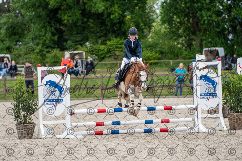 KPT_6427 | andre_photographic