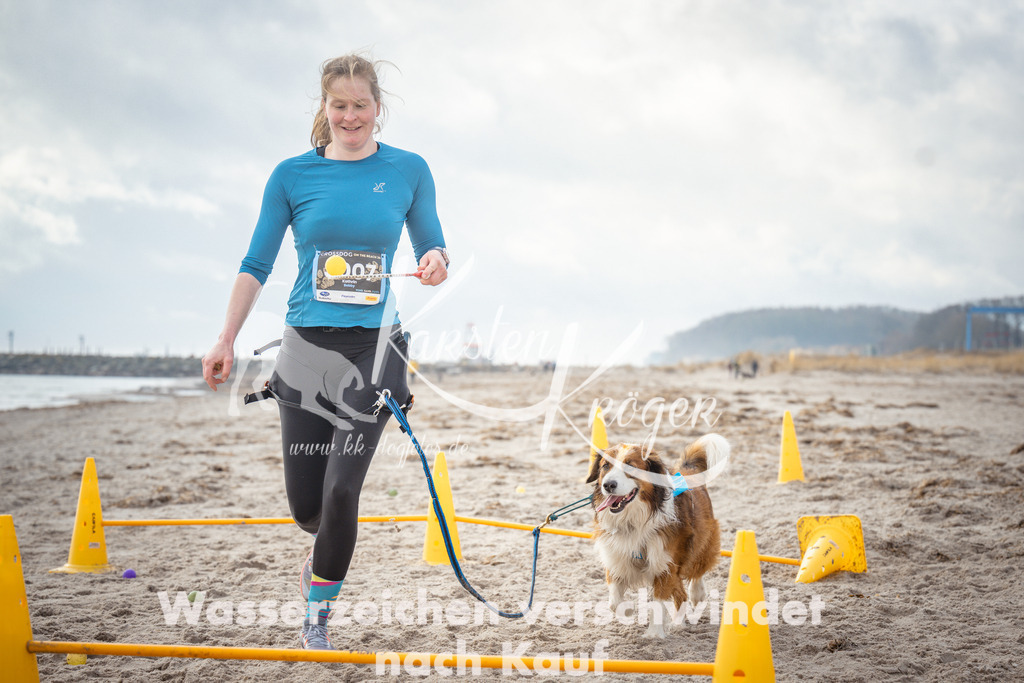 1153_ZZ92312 | kk-dogfotos