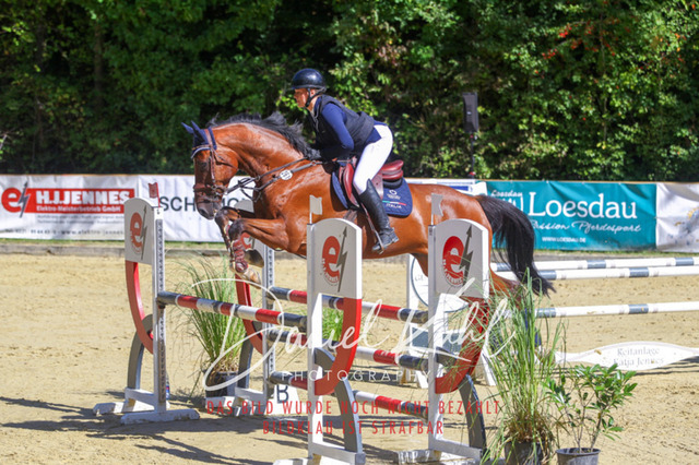 DKP43149 | Deine Turnierfotos vom Reitturnier online kaufen: Dressur, Springen & Siegerehrung. Professionelle Pferdefotografie aus dem Rheinland – als Download & Print.Alternative: Turnierfotograf für den Pferdesport: Finde deine Fotos von Dressur- und Springturnier