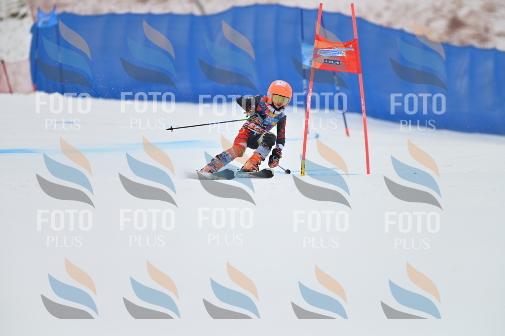 BGV_9303 | holidayphoto