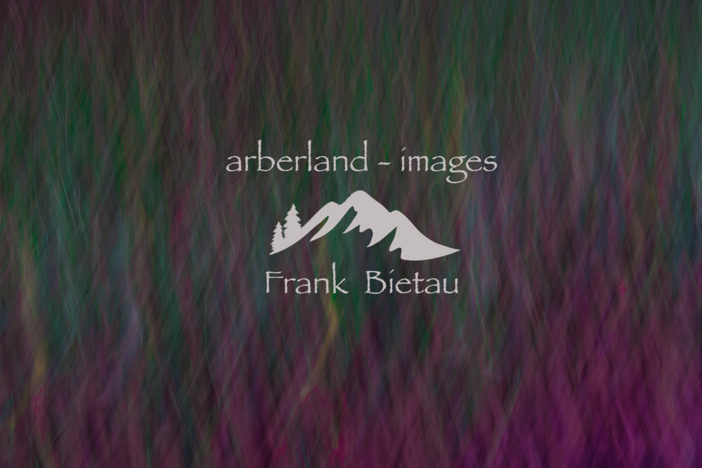 _MG_5040 | Medien- Sport- Entertainmentfotos