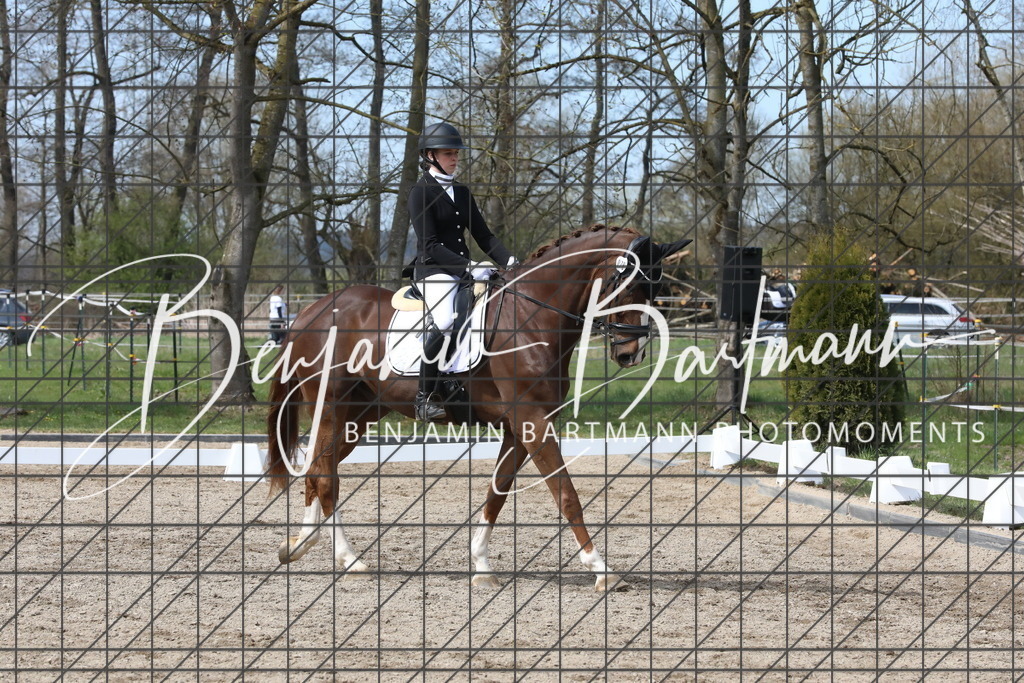 AZ2A3763 | Benjamin Bartmann Photomoments