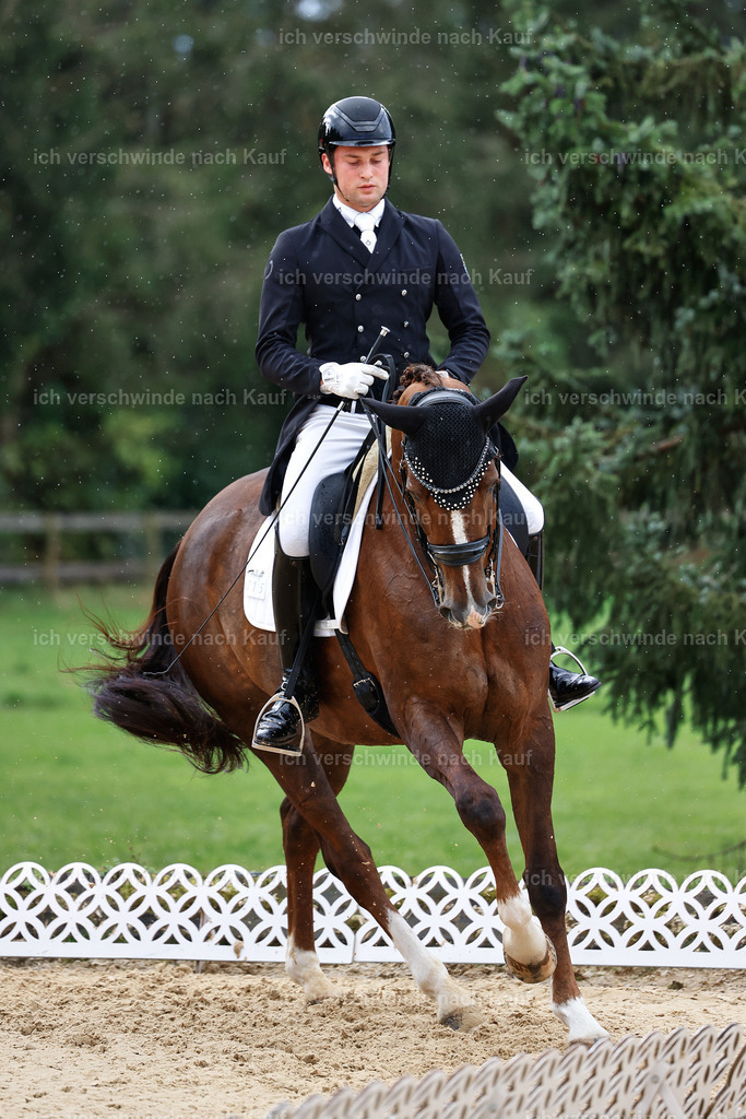 10-015-ST.GEORG SPECIAL -StoibPH-3214 | working equitationturnier fotograf videograf stoibphotography marixx film working equitation deutschland reitsport turnierfotografie eventfotografie equestrian events